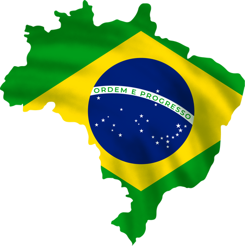 Realistic Brazil Flag